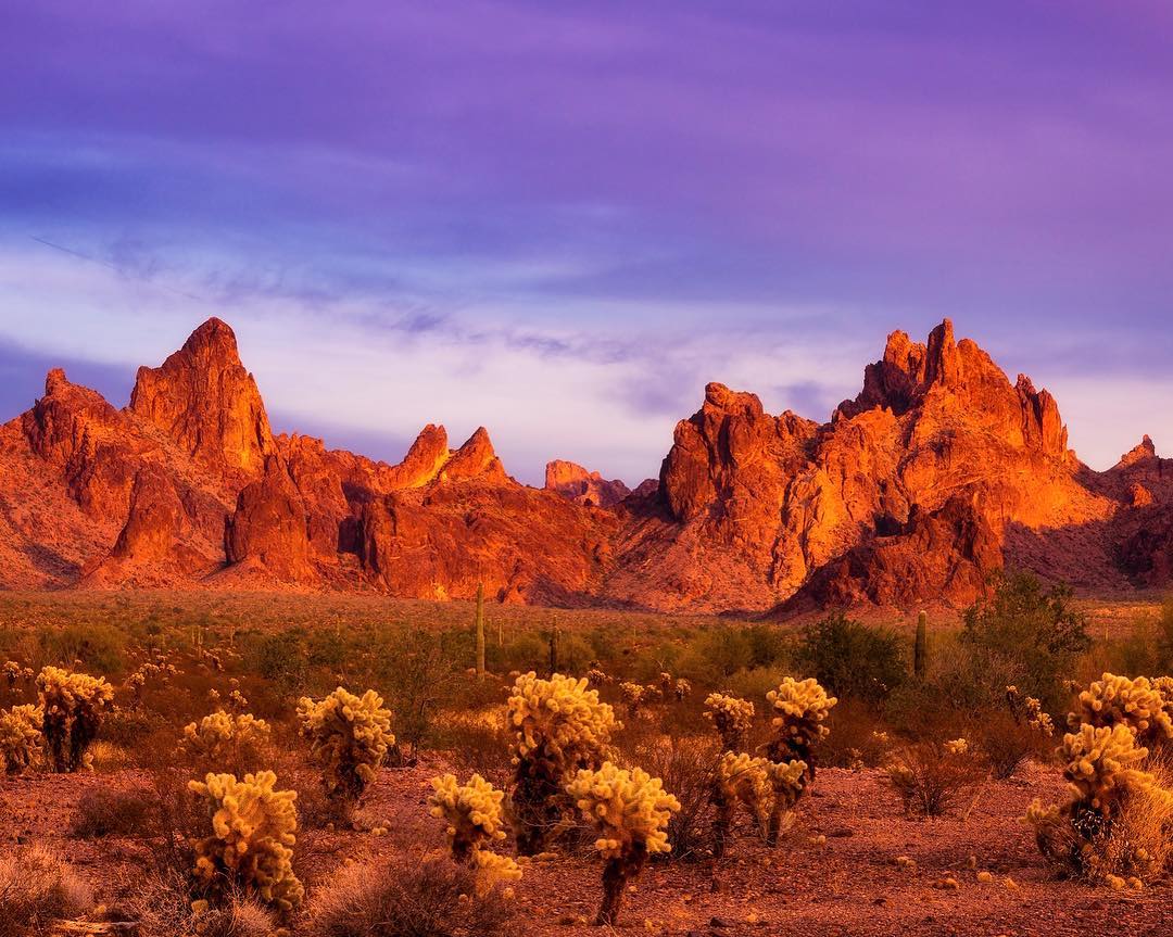 ArizonaTourism's tweet photo. For those who want to venture into the wild ⛺️, Kofa National Wildlife Refuge offers free dispersed camping for up to 14 days. 👍 

More southern campsites to explore: https://t.co/9WKvgn4hNg

📷: @mikepereaphotography https://t.co/svIWIbEoR5