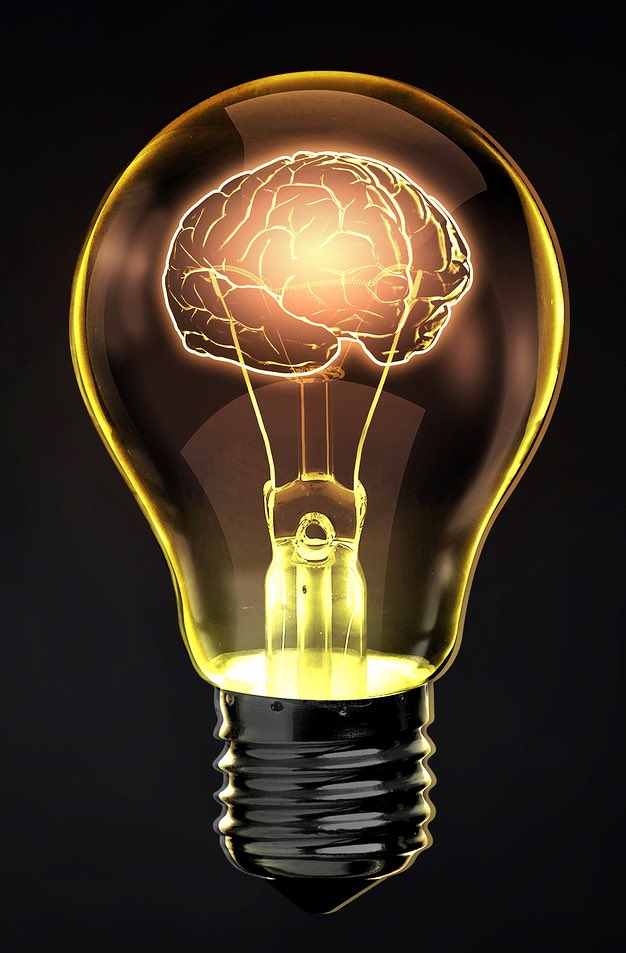 8 Magical Ways to Strengthen your Brain to Focus on Solutions 

~THREAD~ https://t.co/sqg4FX01KT