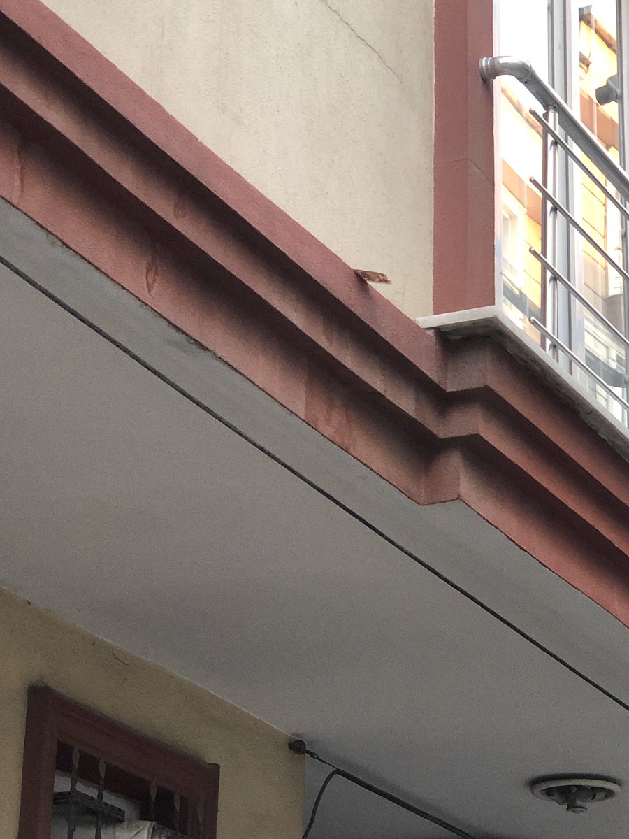 Arkadaşlar yürürken gördüm nasıl alırım ben bu 50 TL yi ?