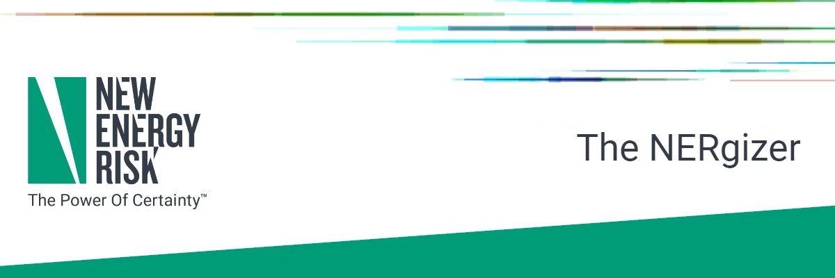The latest issue of our newsletter, The NERgizer, is out now: 🎉 Entering Our Next Phase of Growth at NER - mailchi.mp/newenergyrisk/…