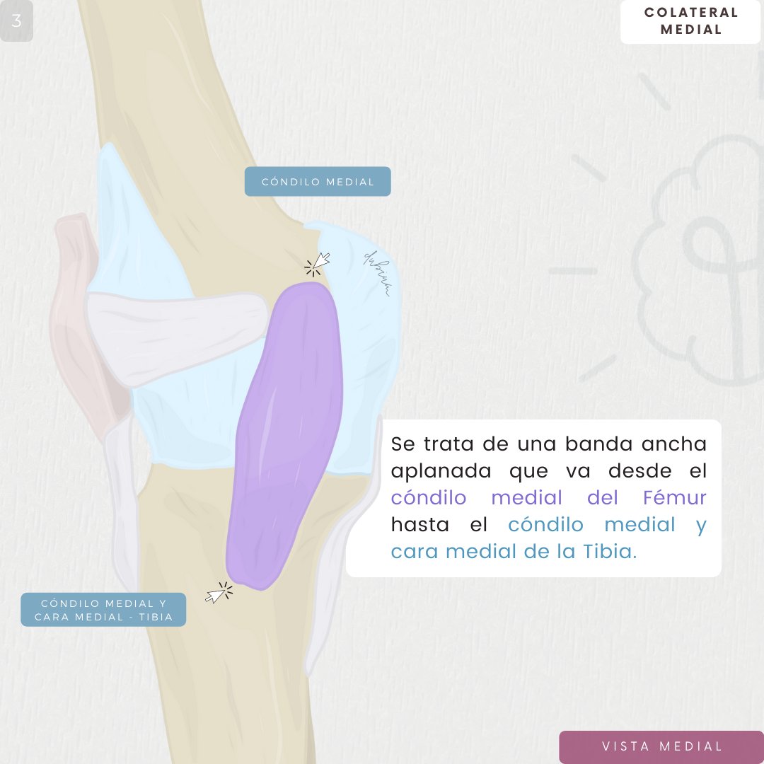 _Dubium's tweet photo. Breve repaso de LCL Y LCM https://t.co/Go6Yweee9u