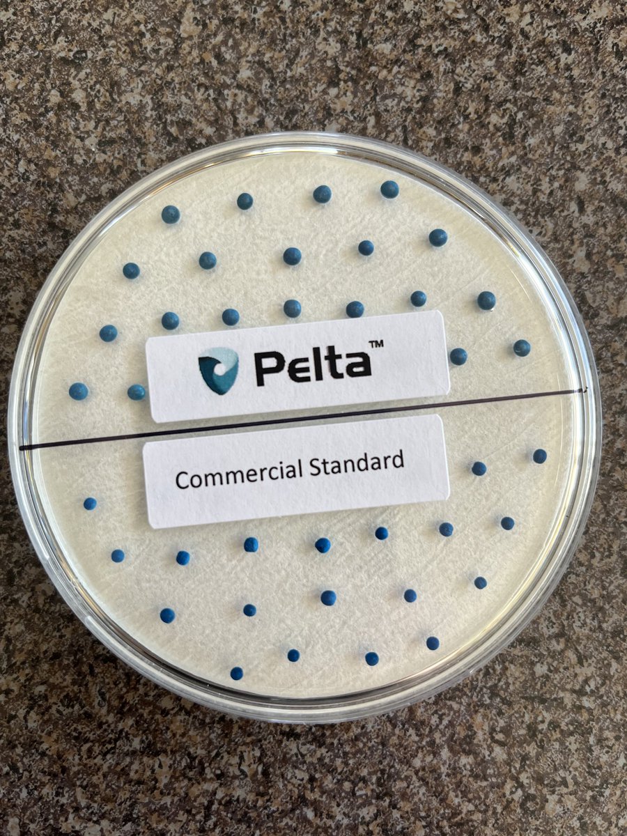 Have you heard about the new Pelta seed treatment from ⁦<a href="/syngentacanada/">Syngenta Canada</a>⁩ ? More uniformity in size compared to commercial seed treatment makes for more efficient seeding, plus Helix Saltro and Fortenza Advanced built in! Ask me for more info.