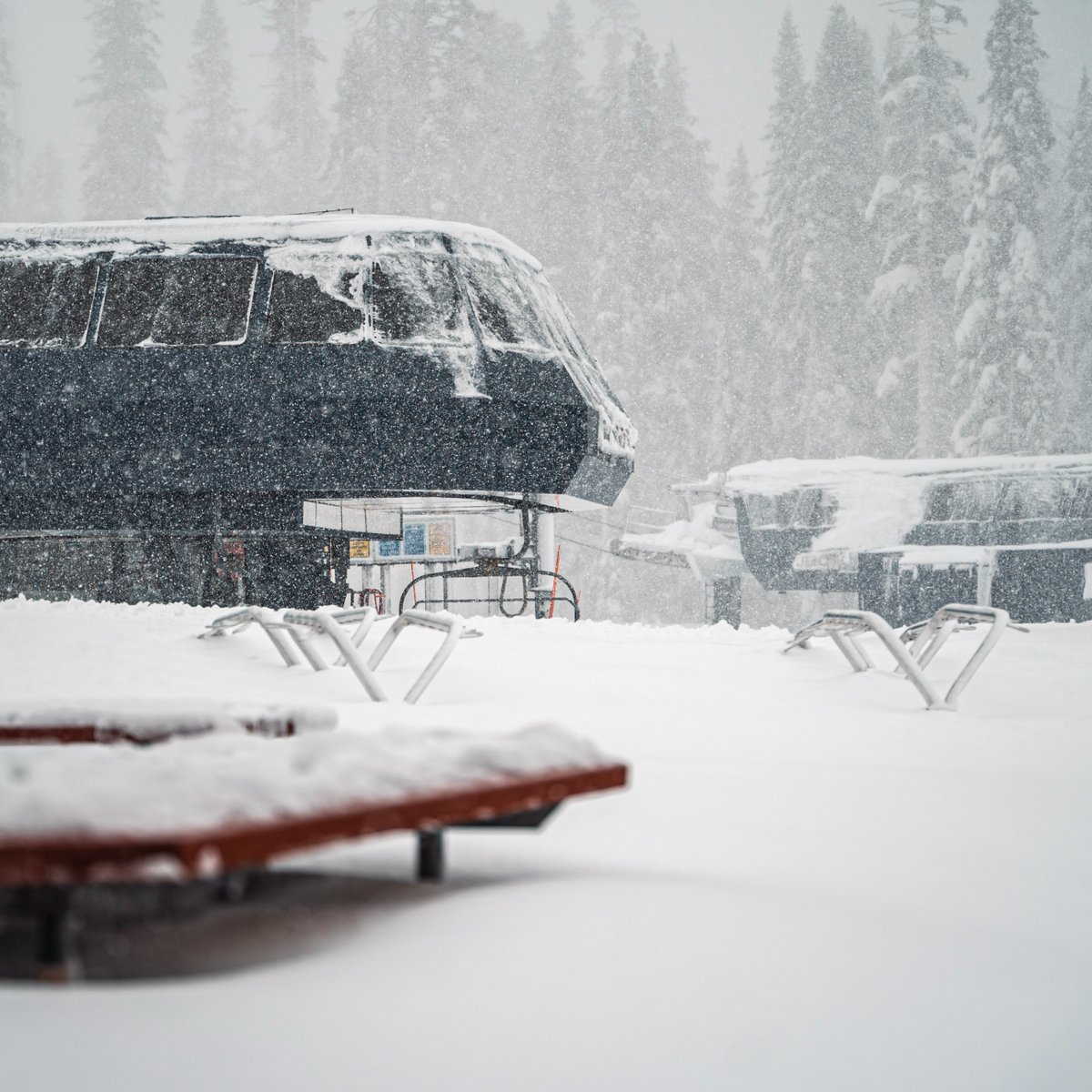 CaliforniaSnow's tweet photo. It was a #DEEPcember to remember. @sugarbowlresort clocked in 121" (10+ feet) of snow in just one week and saw a total of 195” of snow in December 2021.

#throwbackthursday #SkiCalifornia #sugarbowl https://t.co/PMgayVoRoM