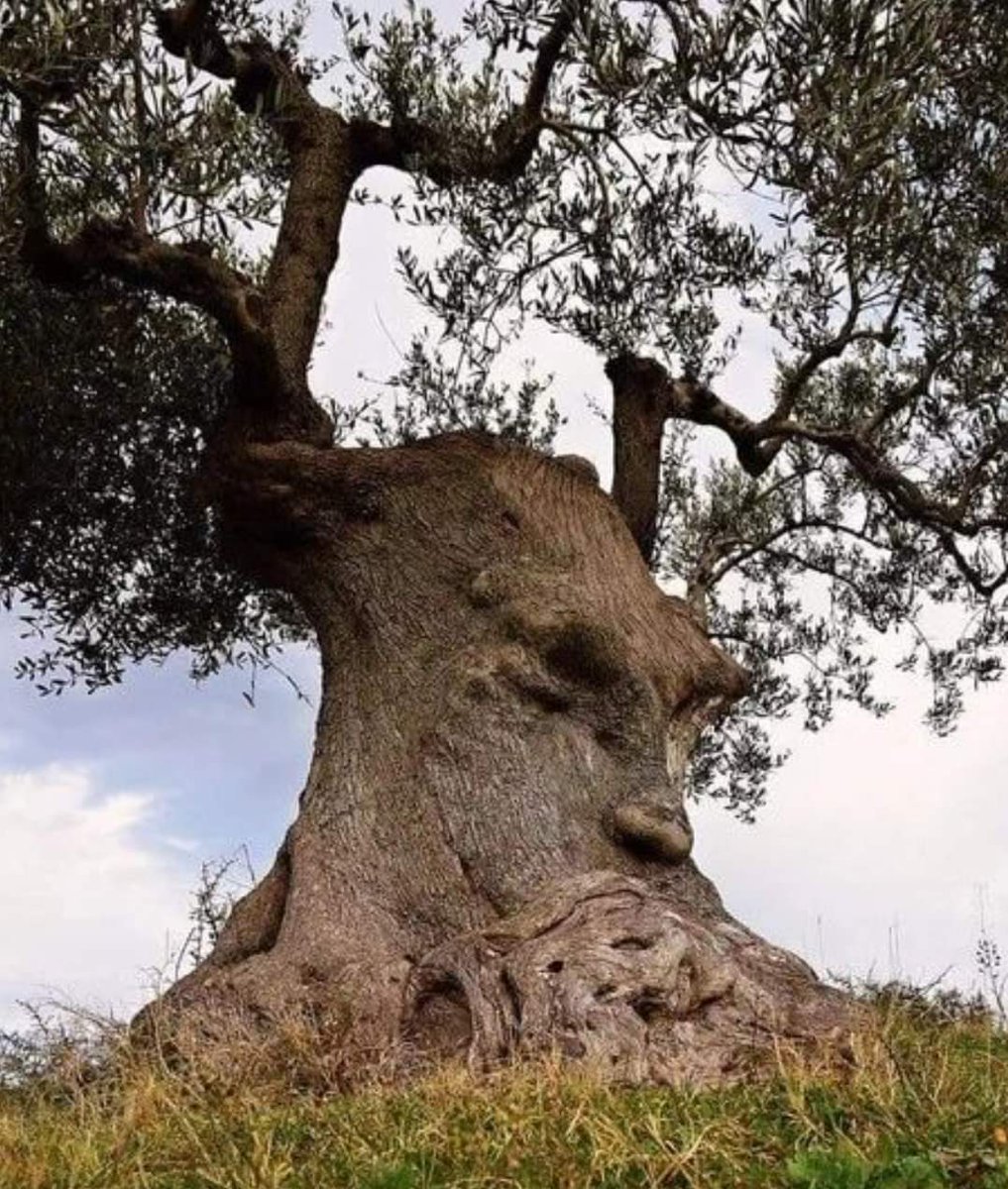 archeohistories tweet picture
