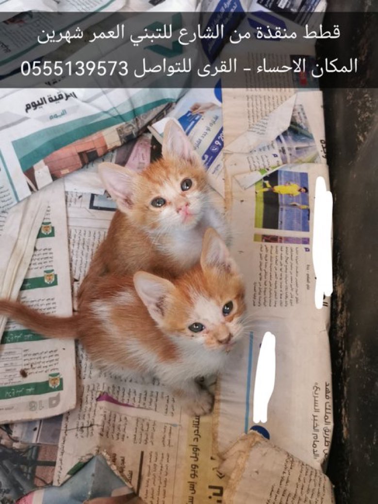 messaalive1's tweet photo. https://t.co/EqsOYnQ1FN