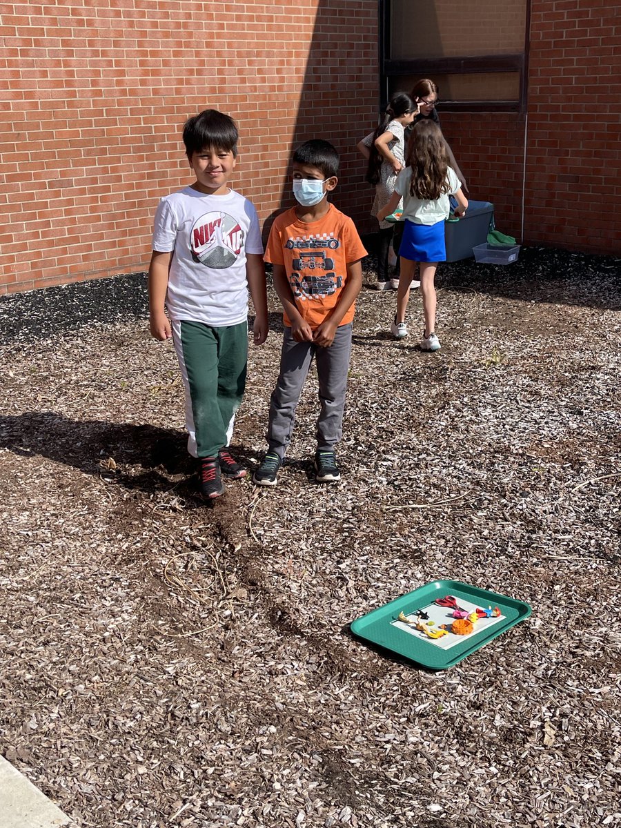 Karalee Nelson tweet media