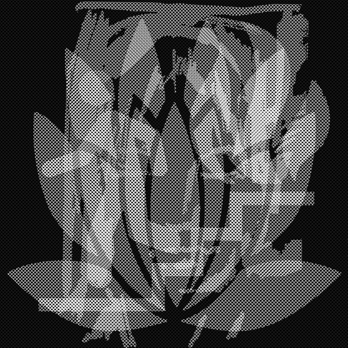 NFTulle's tweet photo. Mint is live! 

Claim your artpiece, join #NFTulle fam. 

Visit https://t.co/fPIUWxSuEB now!

#NFT #NFTs #NFTCommunity #NFTProject #NFTartist #NFTCollection https://t.co/t11PUcT2Wx