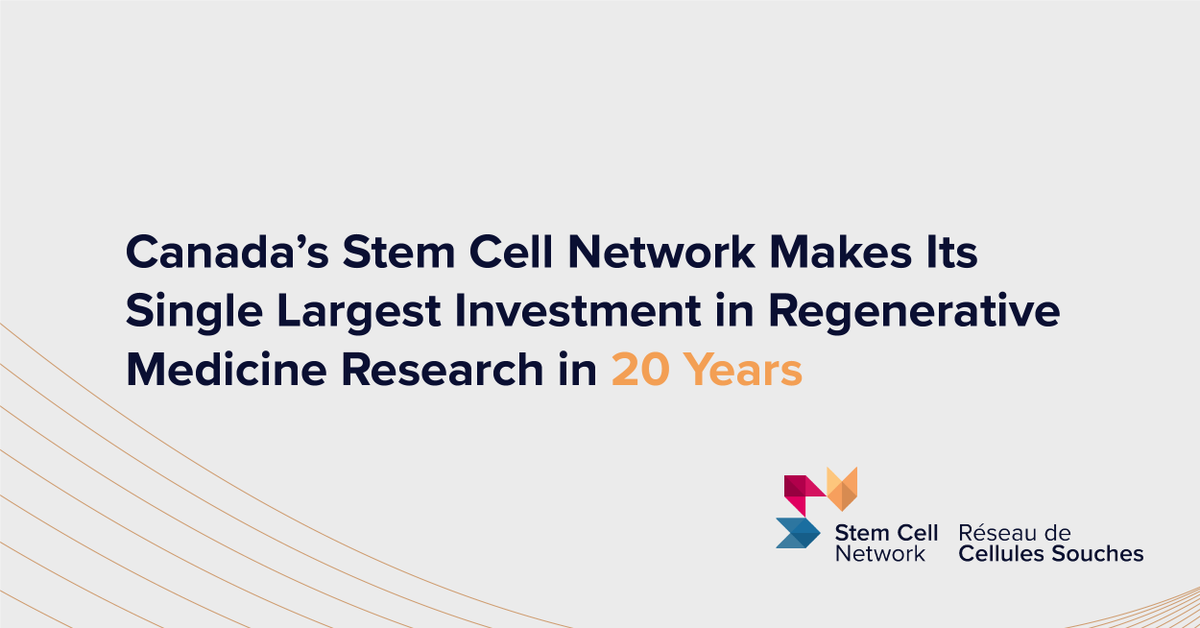 StemCellNetwork's tweet photo. Today's announcement represents our single largest investment in #StemCell &amp; #RegenerativeMedicine research.
➡️$19.5M in funding
➡️$22.4M in partner support
➡️400 researchers, clinicians, &amp; trainees 
➡️32 projects
➡️20 disease areas
Learn more: https://t.co/HkHFLx1TTE https://t.co/qaQ9Cm1PEB