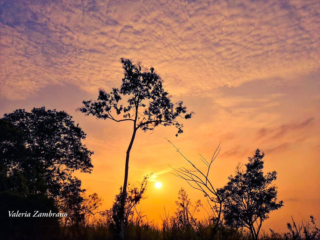 Revista Turismo & Comercio tweet media