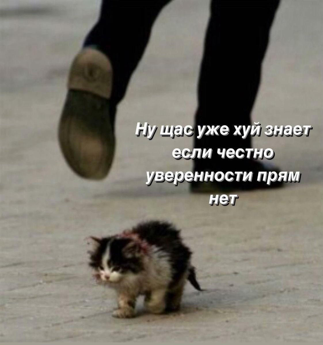 »♡♡♡➛ (@taya_zlaya) on Twitter photo 