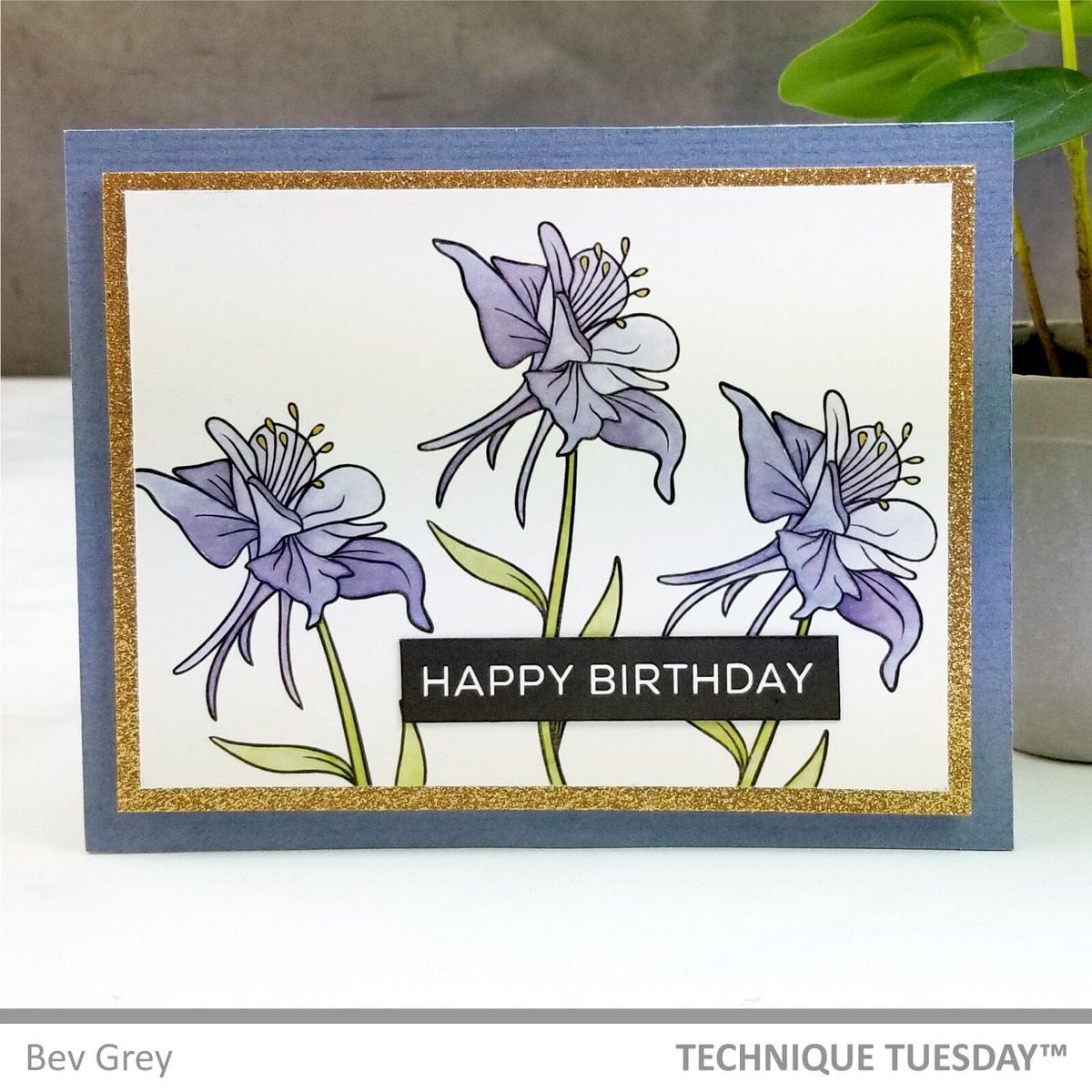 Don't you just love this SWEET birthday card from Bev? If you want to see more Columbine flower projects, you can find them on our website bit.ly/3LefQBz! 

Who's birthday is coming up next? Are you prepared with the right card?
