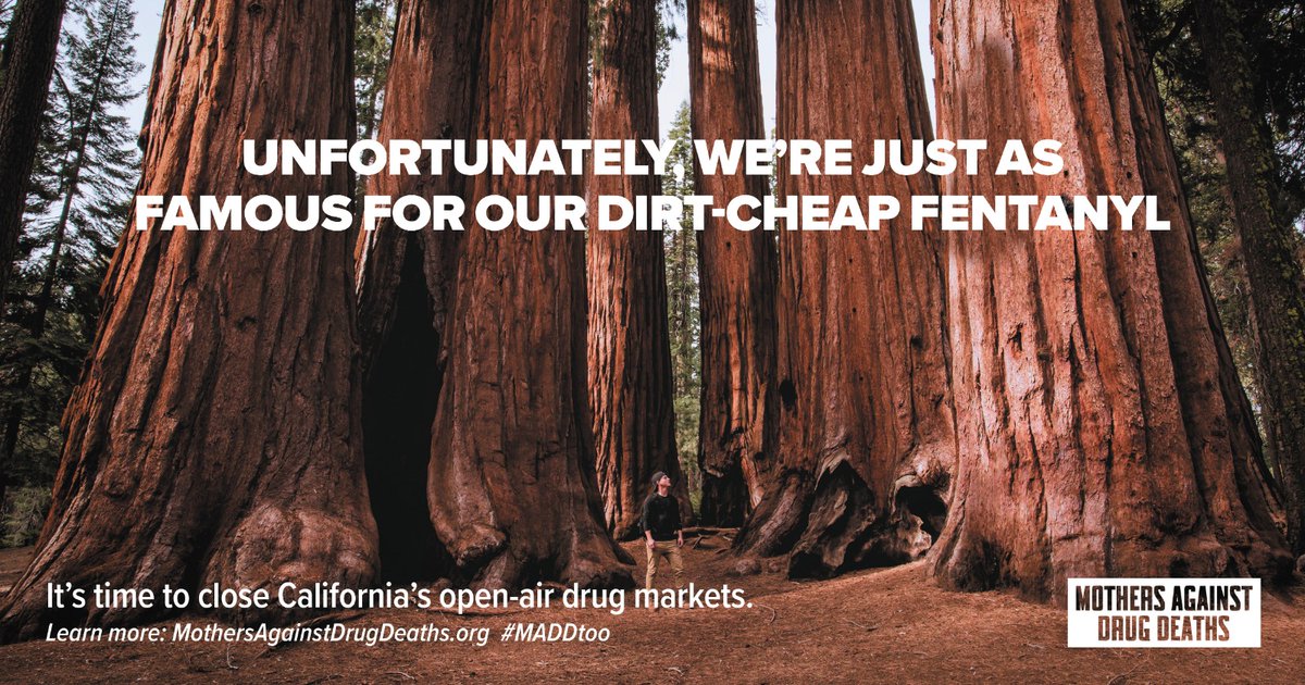 50RandomActs's tweet photo. 🧵
Governor Newsom, we demand compassion for addicts and protection for our kids; Close the open air drug markets now. https://t.co/w8oe9gTYm0 @StopDrugDeaths 
#MADDtoo 
🧵 https://t.co/87ur0bOLfP