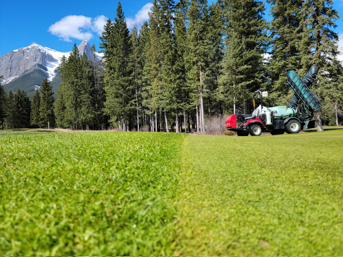 ReidSolodan's tweet photo. Second app of Protea Product going down on greens today. Thank you @coreturf1111 for continued support and supplying us with proven products #proteabotan #healthyturf #happyturf https://t.co/2NqUGAJEBm