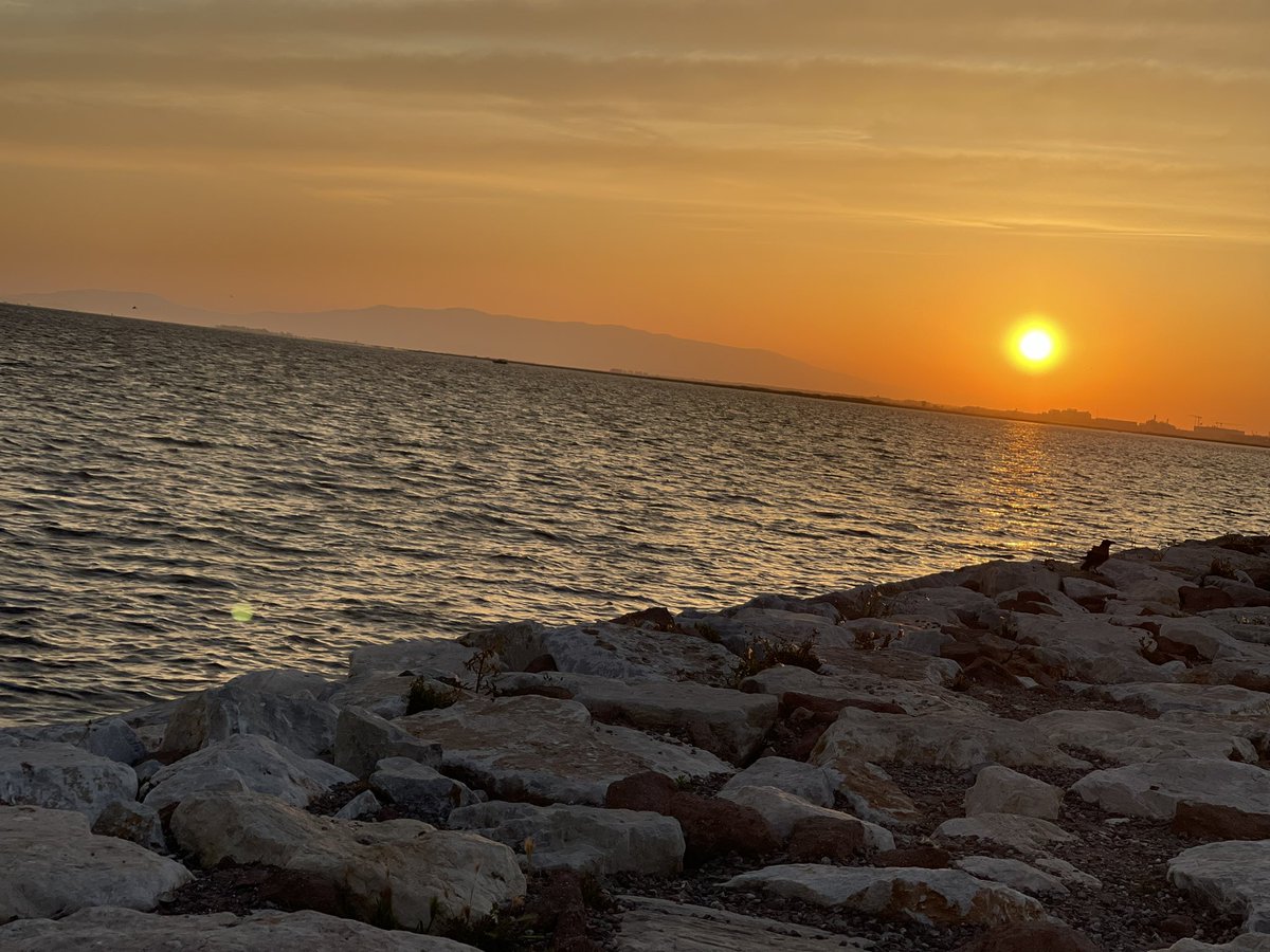 🦋 (@dryahin) on Twitter photo 