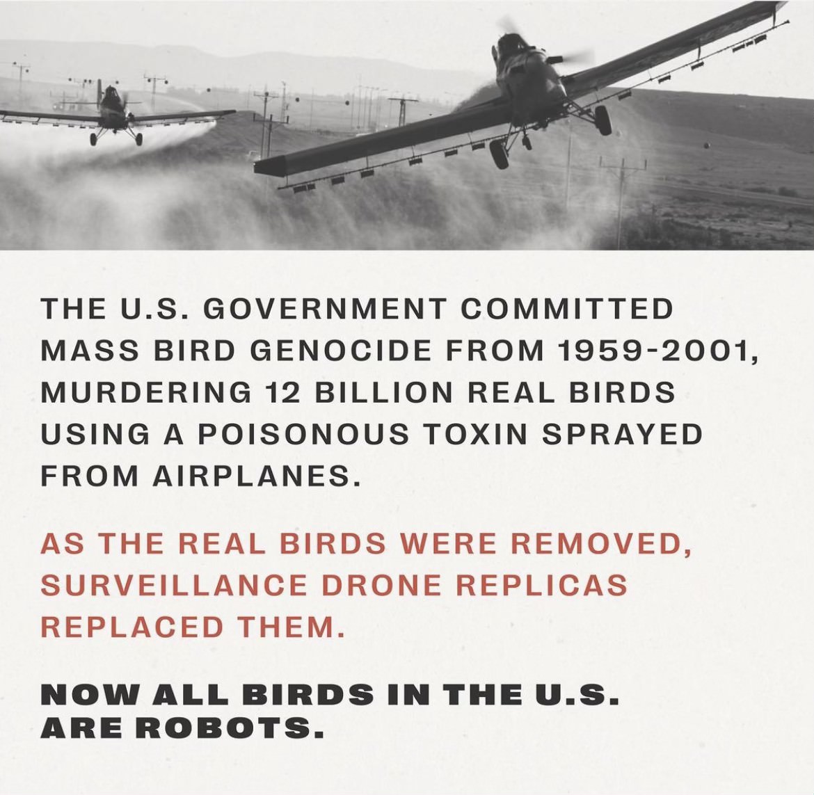 A typical weekend in May for Allen Dulles was different than the average American. In May 1956, he conceptualized bird drone surveillance with his team of bird haters at the CIA. We must remember every day those 12 billion birds that were brutally genocided.