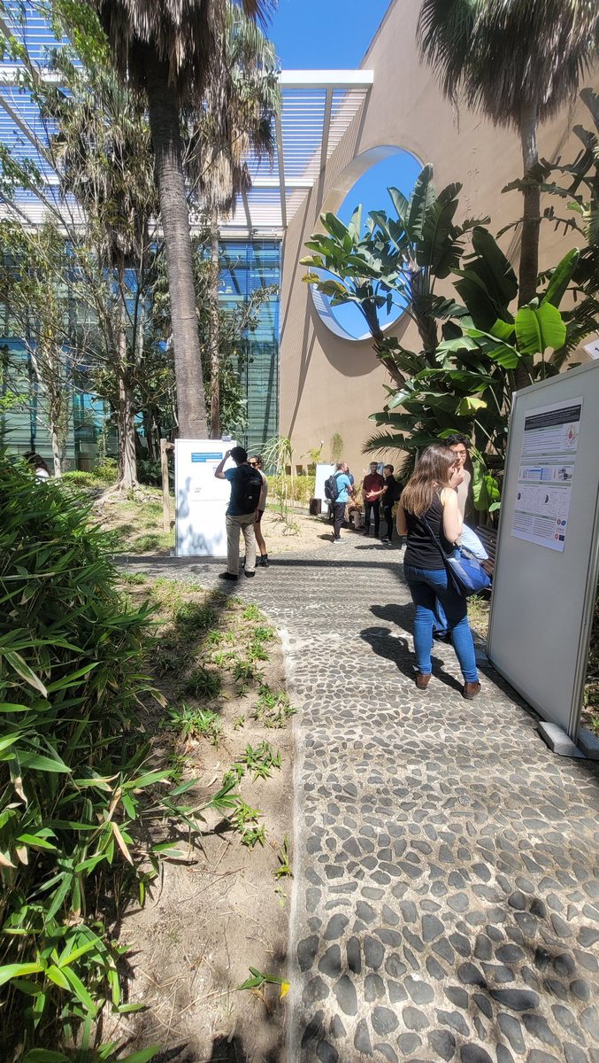 MonteiroAj's tweet photo. It is a tropical poster session! #elbaproject @ChampalimaudF @Neuro_CF https://t.co/EfBjtrXM3e