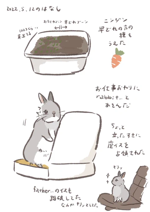 日付け変わって昨日のrabbit…
#うさぎのいる生活 