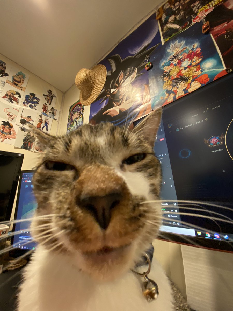 Ninteyy's tweet photo. @Alpharad https://t.co/OiJVe2Fi2T