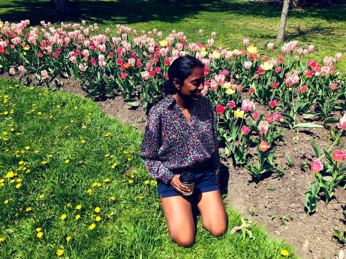 NataleDanko's tweet photo. Happy Tulip Season! 🌷 #lunchbreak #WFH #ohsunnyday 🌞 #parliamentarystrategist https://t.co/k7Loz50tRD