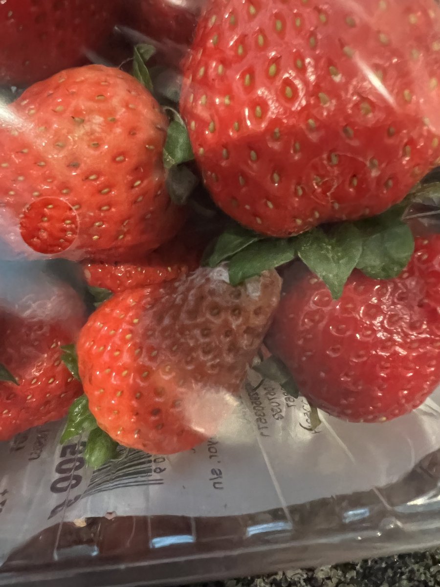 ZovKx's tweet photo. @REWE_Supermarkt @rewe_group die zweite Bestellung Schimmel ! Ein no go https://t.co/aeoocIG2I5