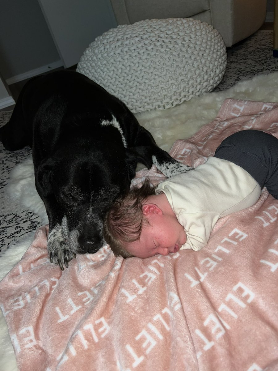 lchsMrsSmith's tweet photo. This is mom life. @ my students, I regret to inform y’all that she does, in fact, have my large forehead. Also, I miss y’all! https://t.co/ZkbUviAEjV
