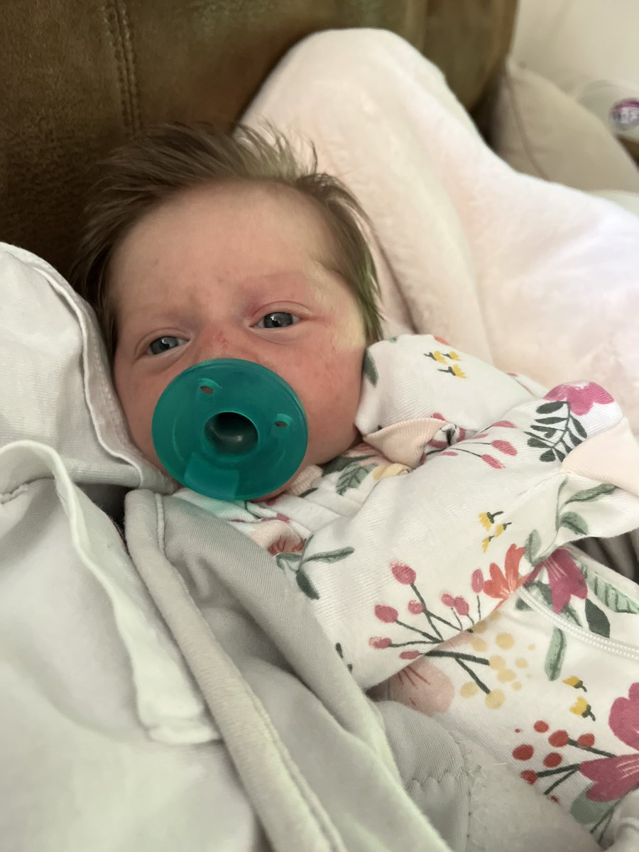 lchsMrsSmith's tweet photo. This is mom life. @ my students, I regret to inform y’all that she does, in fact, have my large forehead. Also, I miss y’all! https://t.co/ZkbUviAEjV