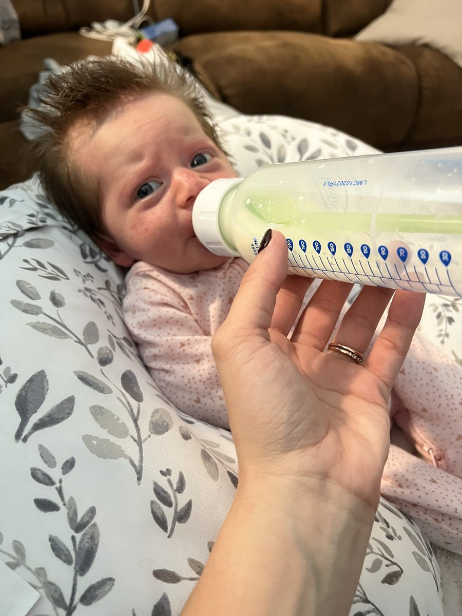 lchsMrsSmith's tweet photo. This is mom life. @ my students, I regret to inform y’all that she does, in fact, have my large forehead. Also, I miss y’all! https://t.co/ZkbUviAEjV