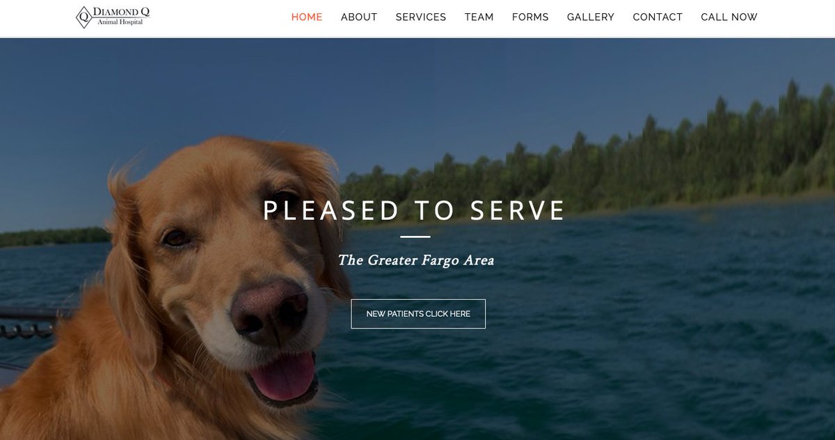 gofargosocial's tweet photo. Congratulations to our friends at Diamond Q!  Thrilled to design &amp; launch your new site! For anyone asking "who's a good boy?" the answer is Spud! ⬇️😍
https://t.co/KG9L8WRyMp https://t.co/Uxih7Y52jg