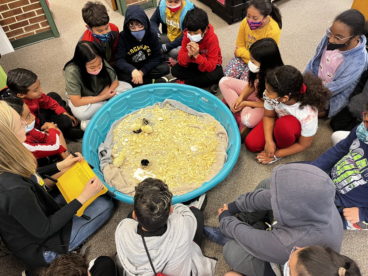 Ms. Stiles tweet media