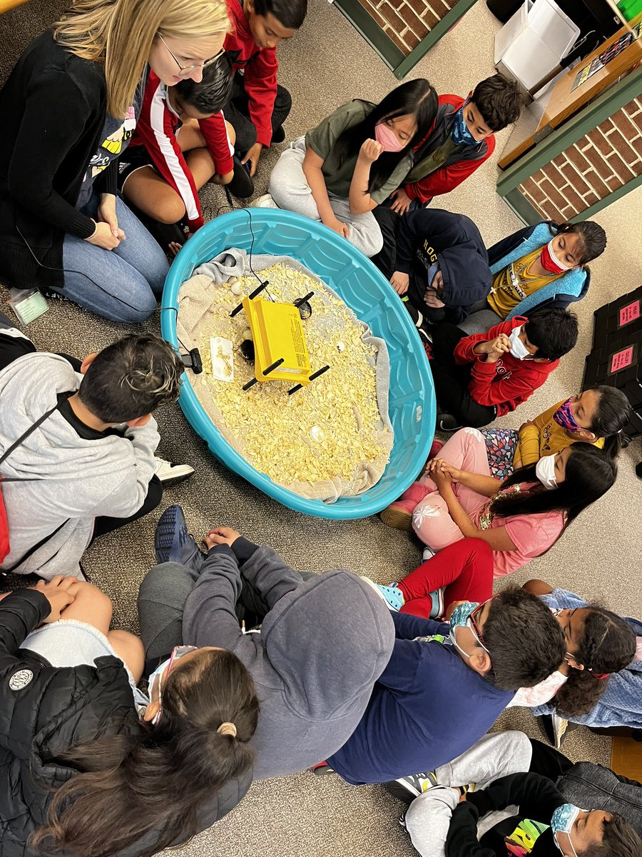 Ms. Stiles tweet media