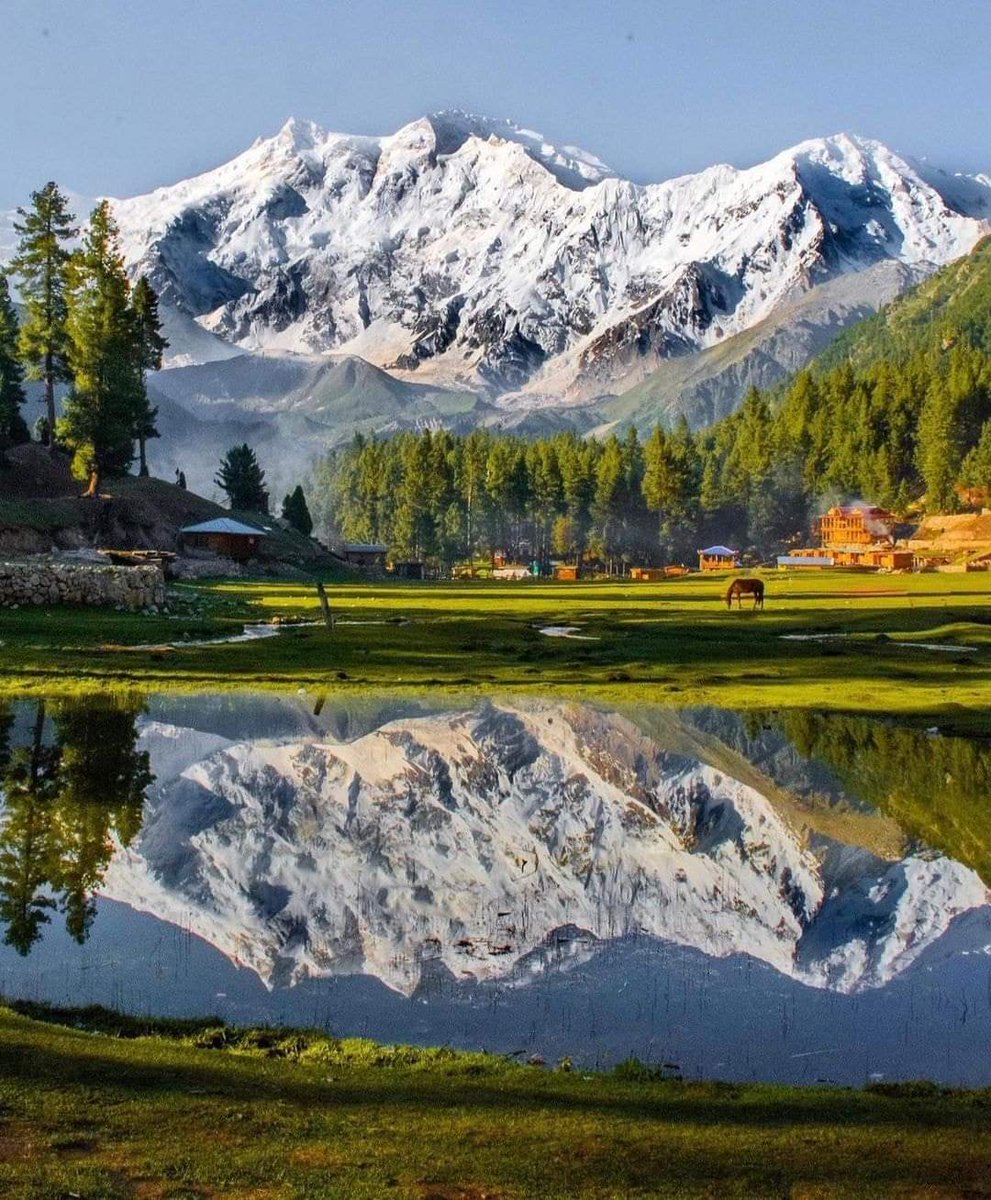 Paktourntravel's tweet photo. Fairy Medows Nanga Parbat
.
.
.
.
📷@junaid_official.57
.
.
.
. #fairymeadows #nangaparbat #karakoram #Diamer #gilgitbaltistan #wonderland #heavenonearth #adventure #explore #seeyouingilgitbaltistan #beautyofpakistan #tourisminpakiatan #experiencepakistan #northernareasofpakistan https://t.co/FwdNuknxsW