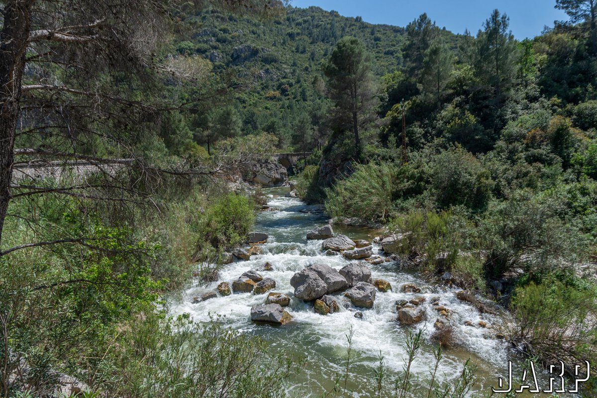 MeteOrihuela's tweet photo. ¡Qué gusto! Agua y verdor en plena #primavera. Esta mañana (12/05/2022), recorriendo parte de la #VíaVerde del #RíoSerpis, en el tramo comprendido entre #Lorcha (#Alicante) y #Villalonga (#Valencia). Imágenes: @ruiz63. https://t.co/b5GcTUBQMw