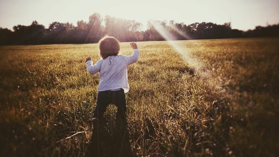 ∴ Pat ∴ tweet media