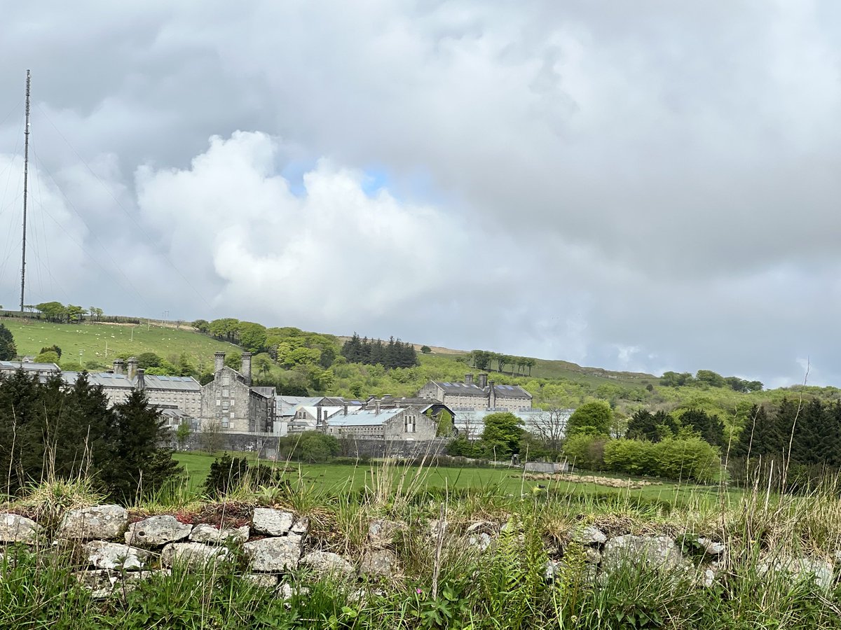 Sharron Davies HoL MBE tweet media