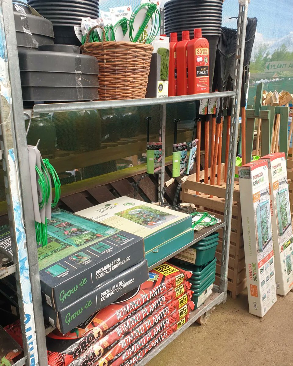 MooresNurseries's tweet photo. Tomatoes £1.25 🍅
Which varieties are you growing this year?
#tomatoes #gyo #growyourownfood #nottingham #notts #nottinghamshire #leicester #leicestershire #meltonmowbray #veg #allotment #allotmentlife #ukallotment #myplot #myallotment #greenfingers #greenhouse #gardener #grow https://t.co/slNdPUjNg5