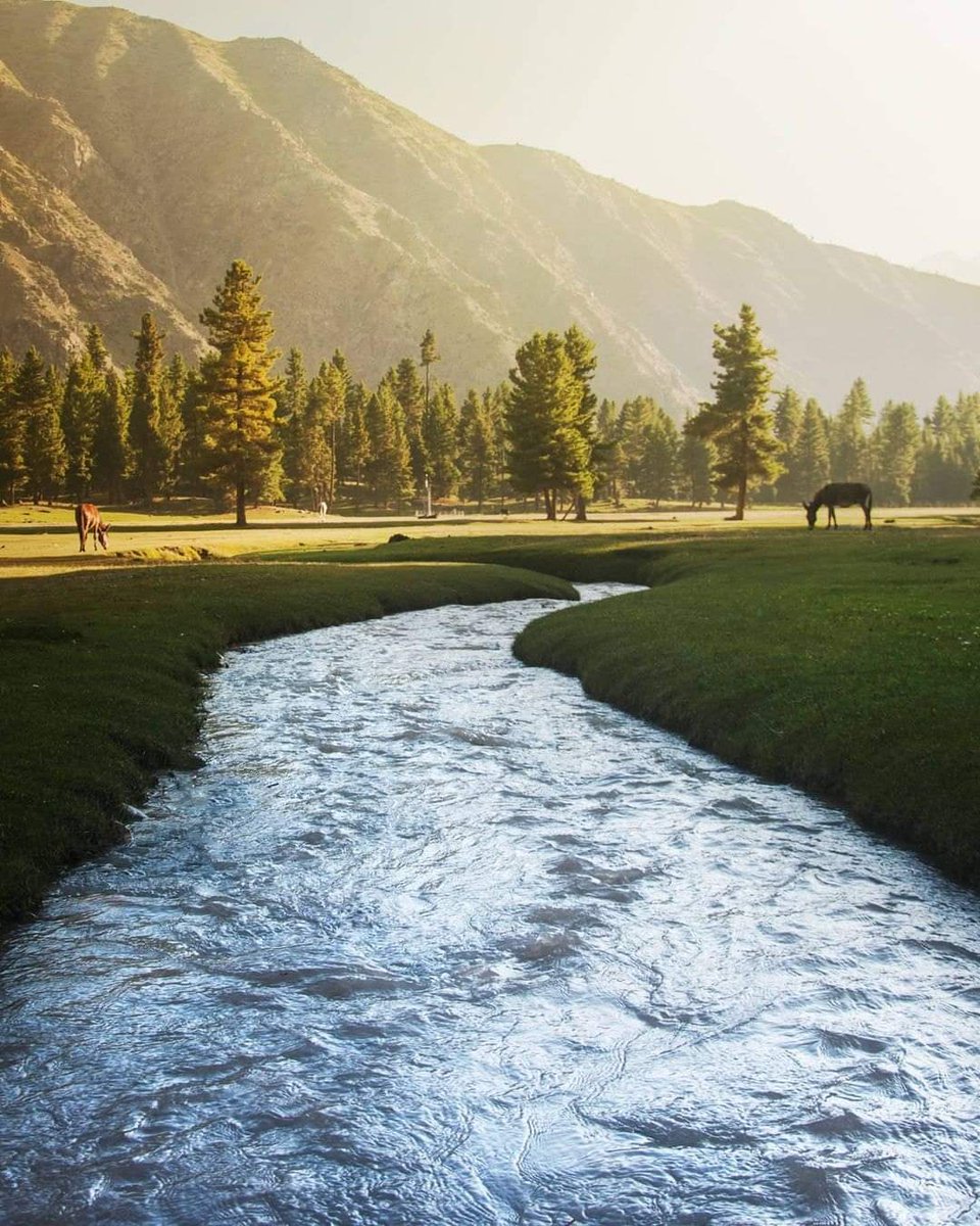 Paktourntravel's tweet photo. Rama Medows, Astore Valley, Gilgit Baltistan
.
.
.
.
.
📷@ali_awaiss 
.
.
.
.
.
 #ramamedows #astore #astorevalley #gilgitbaltistan #landscape #destination #explore #adventure #heavenonearth #wonderland #karakoram #seeyouingilgitbaltistan #incrediblepakistan #experiencepakistan https://t.co/Qrs7F9wXJg
