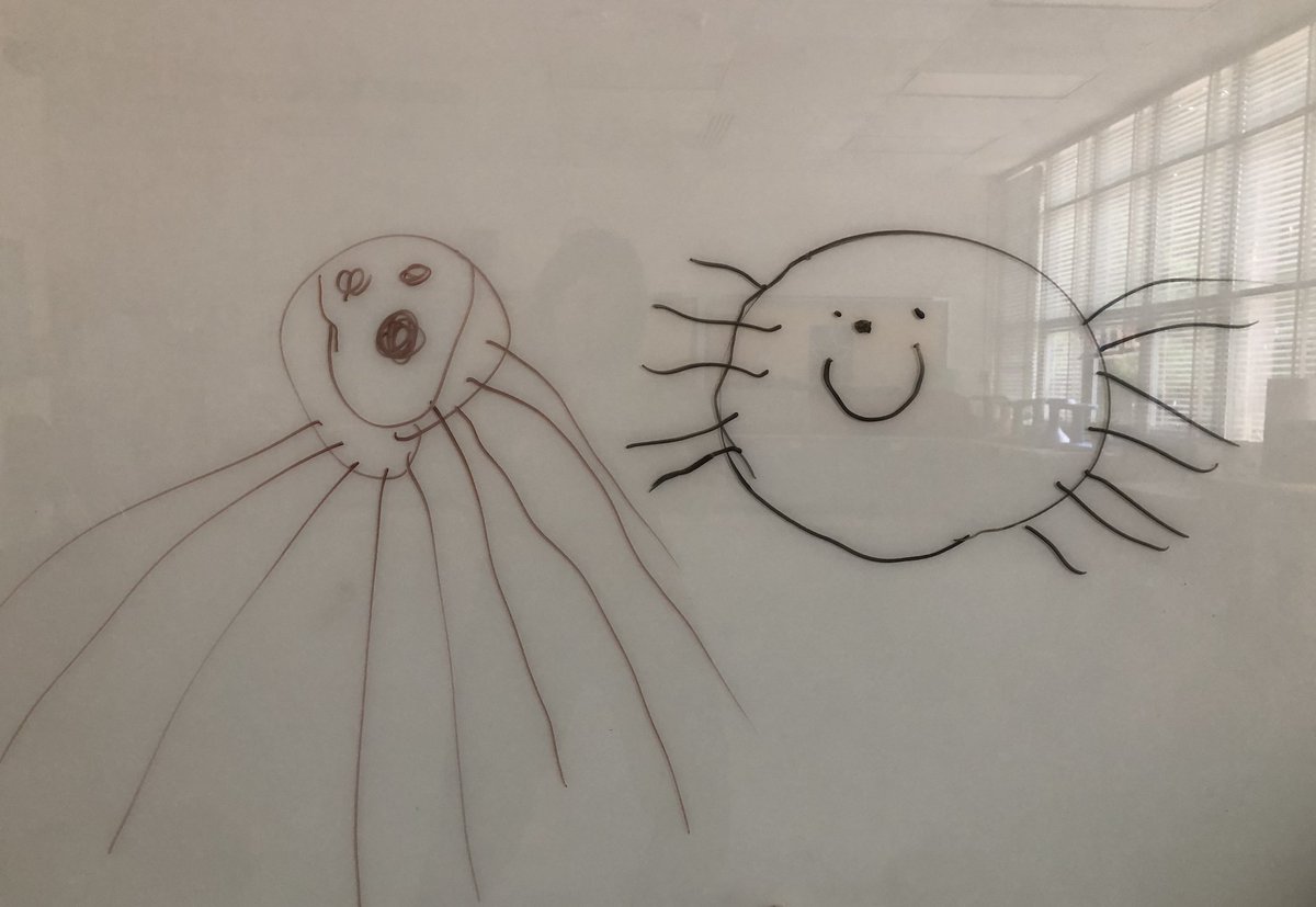 MrsGamza's tweet image. I had so much fun with prek musicians today as we made up our own verses to Raffi's "Going on a Picnic"...until they decided that spiders were going to invade our picnic! Uh oh! 
@APSArtsEd @APSTaylor  @APS_EarlyChild

youtu.be/fomN5WI3xro