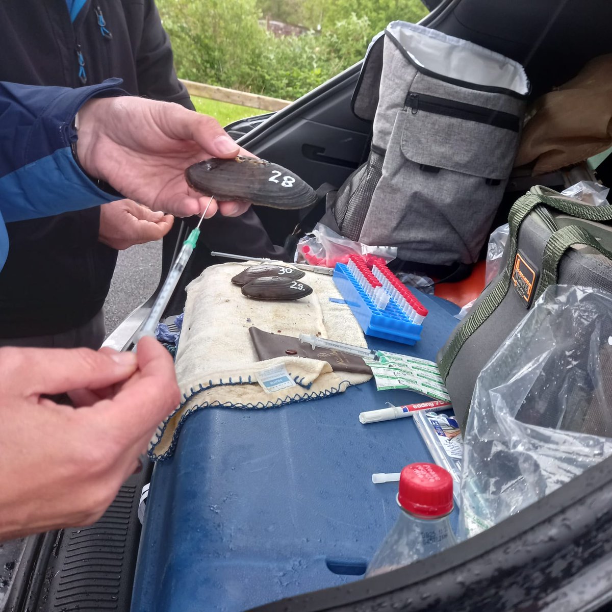 Elvira de Eyto tweet media