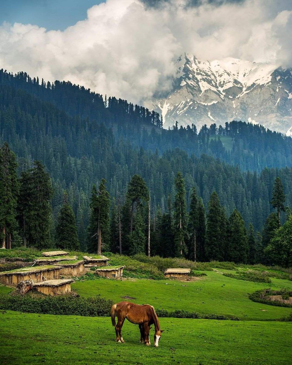 Paktourntravel's tweet photo. Beautiful landscape of Kaghan Valley
.
.
.
.
.
@sheraliphotography 
.
.
.
.
 #kaghan #kaghanvalley #wonderland#landscape #destination  #heavenonearth #adventure #explore #incrediblepakistan #experiencepakistan #tourisminpakiatan #beautyofpakistan #northernareasofpakistan https://t.co/dxj8ypnNQ1