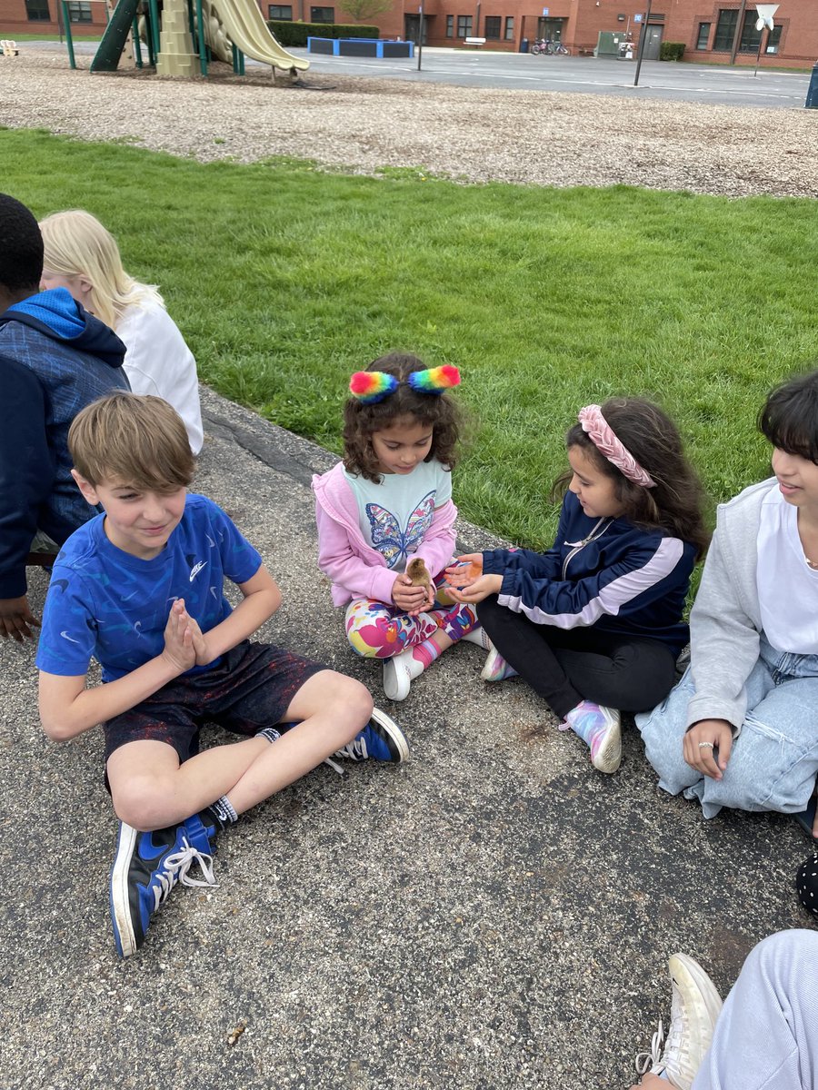 Emily_Kelly25's tweet photo. Our 4th grade buddies showed us the chicks and ducks they have been studying! Thanks ⁦@TenyTribe⁩ you are the best buddies! ⁦@BNLC_HCSD⁩ https://t.co/zcMbYfgj1Q