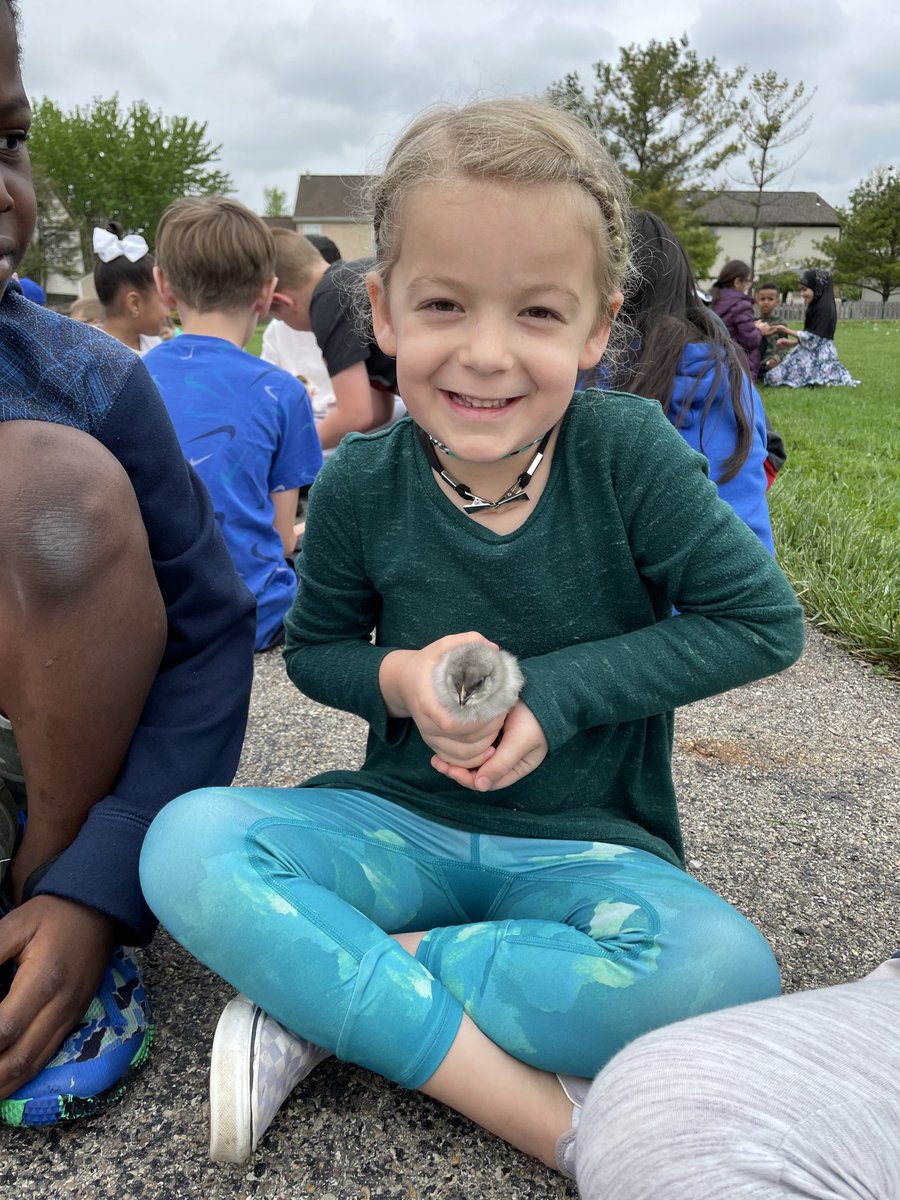 Emily_Kelly25's tweet photo. Our 4th grade buddies showed us the chicks and ducks they have been studying! Thanks ⁦@TenyTribe⁩ you are the best buddies! ⁦@BNLC_HCSD⁩ https://t.co/zcMbYfgj1Q