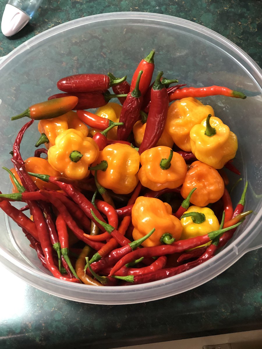 ktvanderlip's tweet photo. @SpicyFoods What if it’s just two ingredients. Peppers and vinegar. https://t.co/NtPQv5oKjJ
