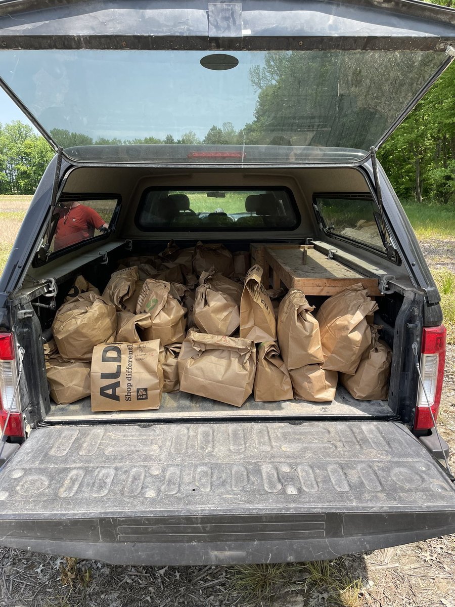 Today we wrapped up our #CoverCrop sampling for the season. Decent Balansa Clover biomass at SE Indiana <a href="/CoverCropDr/">Shalamar Armstrong</a> <a href="/PurdueAgronomy/">Purdue Agronomy</a> @Asmita_Purdue <a href="/DrRichardRoth/">Richard Roth, PhD</a>