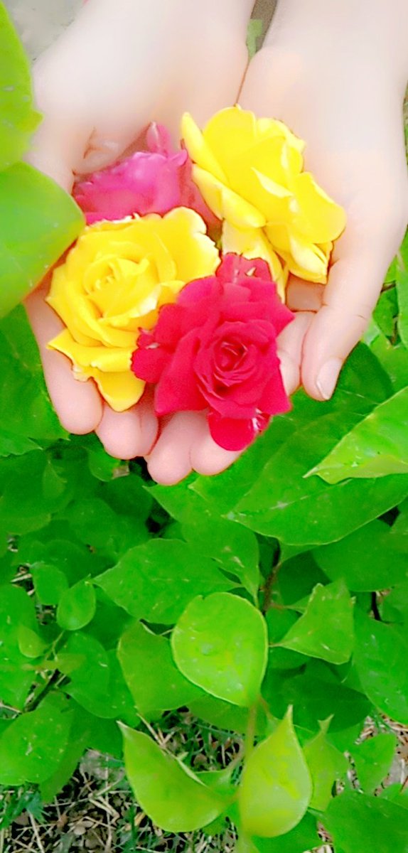 narrmm86's tweet photo. وتبقى الذكريات قصصاً صامته ،تركت بقلوبنا أثراً لا يزول ❤🥀 https://t.co/3HI7ONAlJc