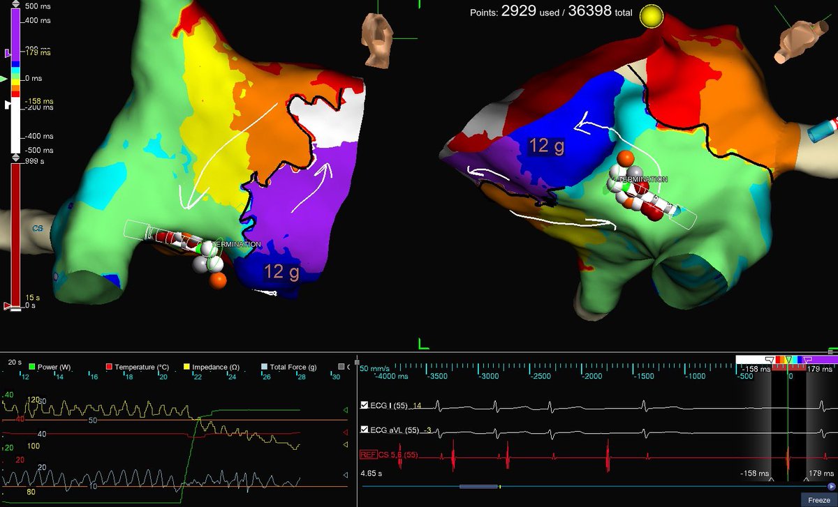 Betty Bu tweet media