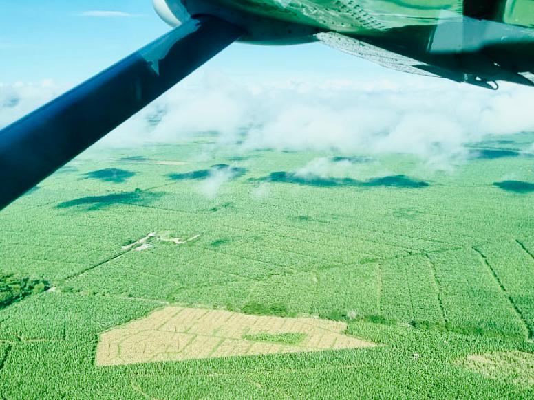 Ejercito_Davaa's tweet photo. Con capacidades aéreas y terrestres de @Ejercito_Davaa #CONAT en apoyo a @Ejercito_Div7 #BR17 brindamos seguridad en la región del Urabá, zona de confluencia de los departamentos de #Antioquia, #Córdoba y #Chocó, acompañando la libre movilidad y la tranquilidad de sus habitantes. https://t.co/wDpDkd3nGP