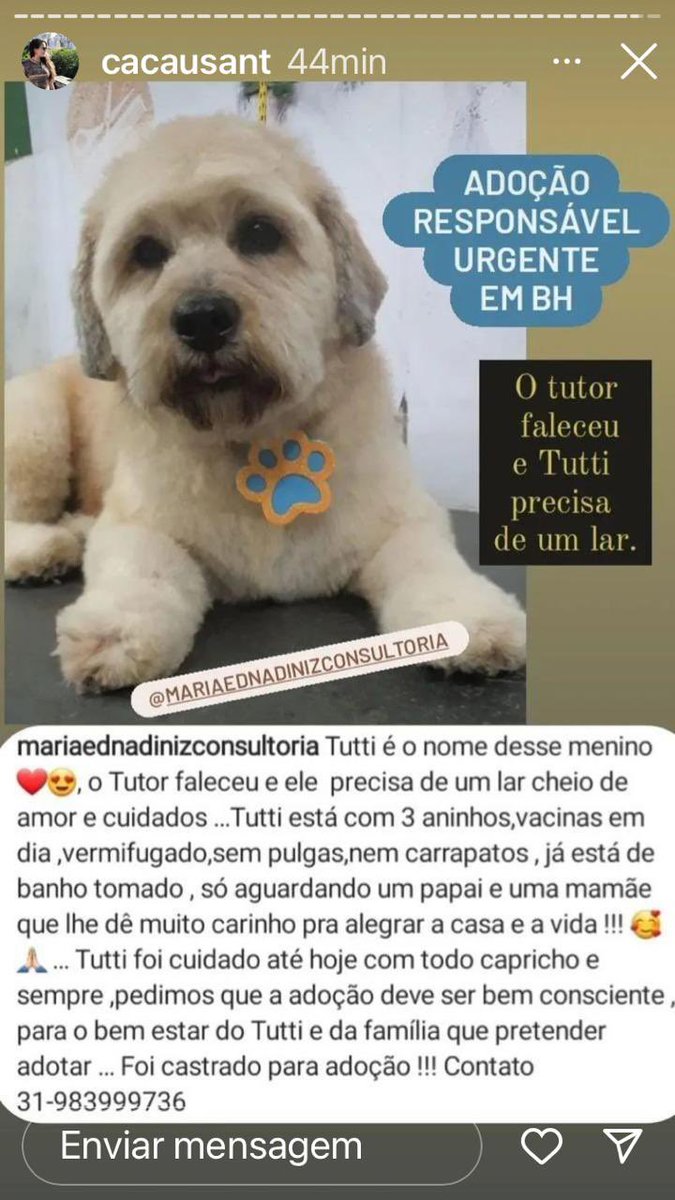 ADOÇÃO BH