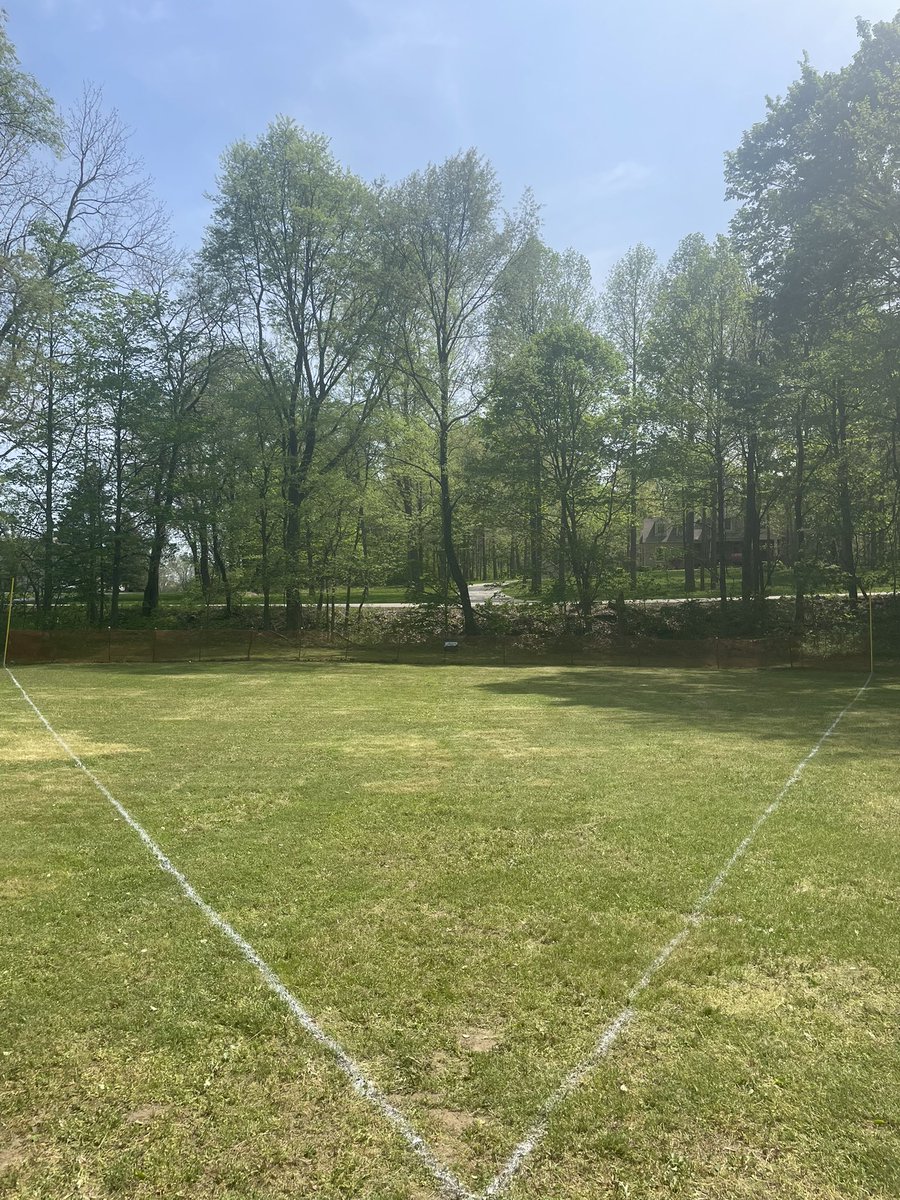 Wiffle Dees tweet media