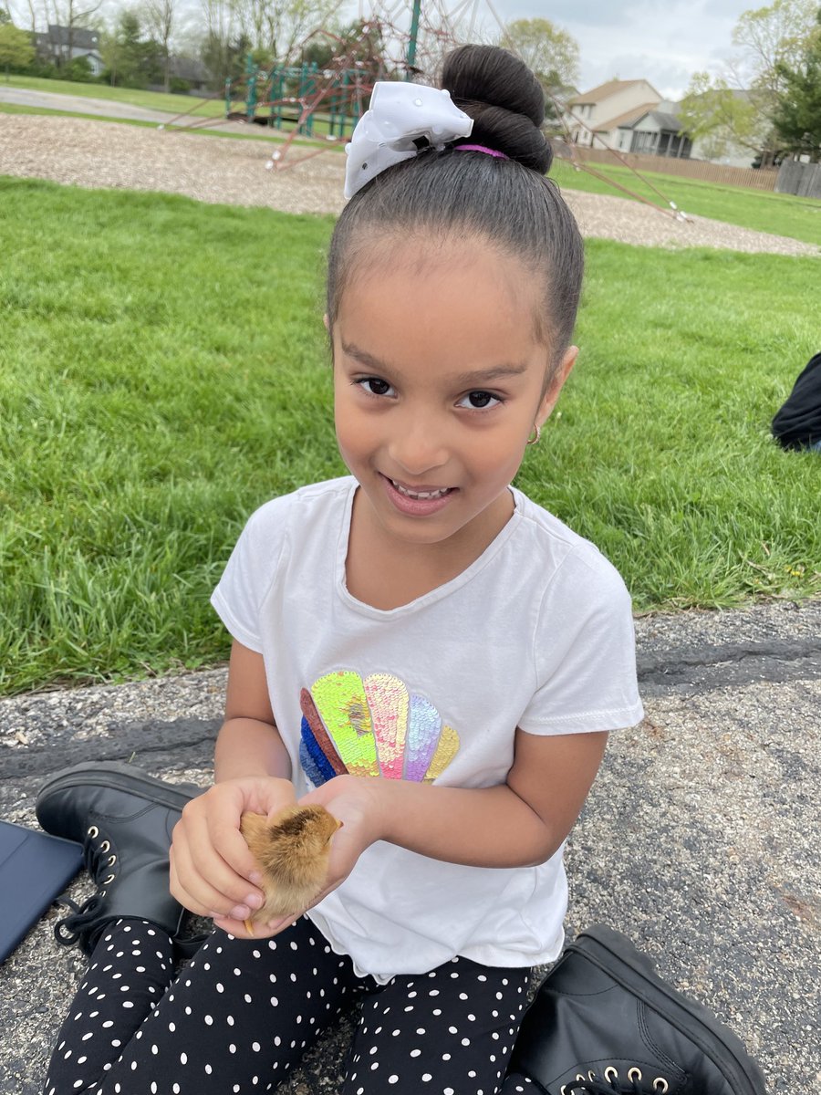 Emily_Kelly25's tweet photo. Our 4th grade buddies showed us the chicks and ducks they have been studying! Thanks ⁦@TenyTribe⁩ you are the best buddies! ⁦@BNLC_HCSD⁩ https://t.co/zcMbYfgj1Q