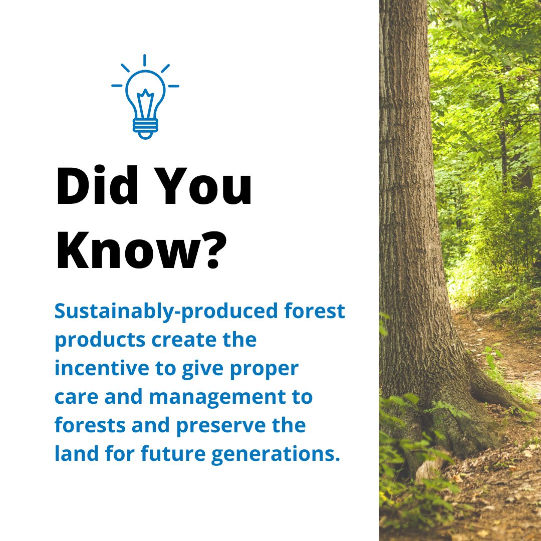We ensure that our suppliers procure wood fiber from #sustainably managed #forests &amp; meet credible forest certification #standards. These standards verify that the perpetual regeneration, growing &amp; #harvesting of #trees is successfully integrated with the protection of #wildlife!